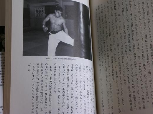 Kenji Midori Shin Kyokushin karate book WKO Shinkyokushinkai Martial