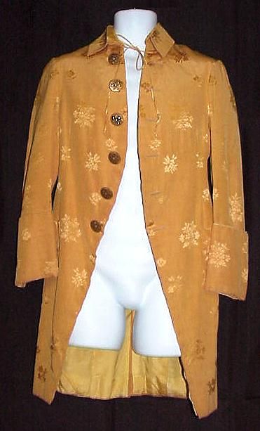 1700s Pirate Nobleman Aristocrat Cutaway Satin Tunic