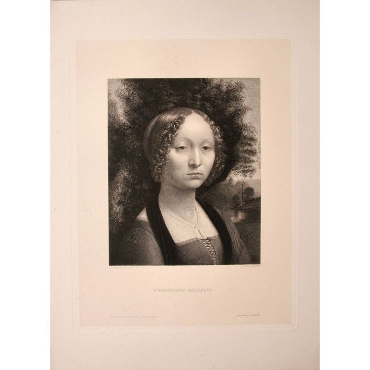 Engraving Leonard Da Vinci Italy School 1892