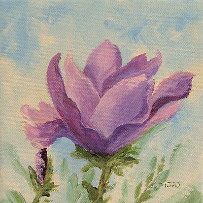 Japanese Magnolia 6 x 6 Original Painting by Torrie Smiley EBSQ Wwao