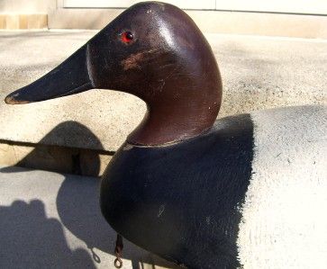 Paul Fraley SR Drake Canvasback Wood Duck Decoy Marine City MI