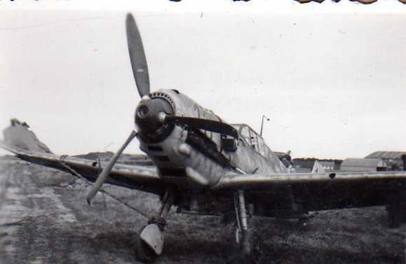 original altes Foto,abgestürztes Jagdflugzeug 109 mit Nummer