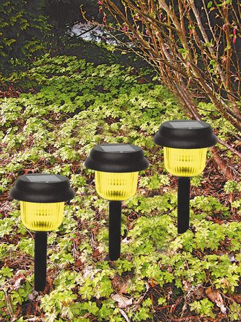 Solarlampe Solarleuchte, mit Erdspieß, H42cm, 3er Set