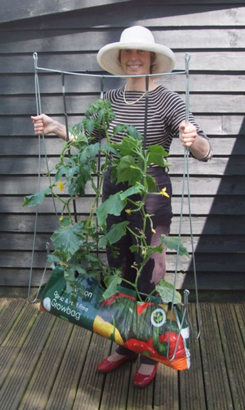 Grow Bag Frame Rankhilfe Erdsackkultur Rankgitter Tomaten Balkonkasten