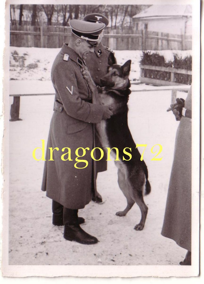 Foto Portrait Soldaten TK+Uniform???+Schäferhund Top orig.