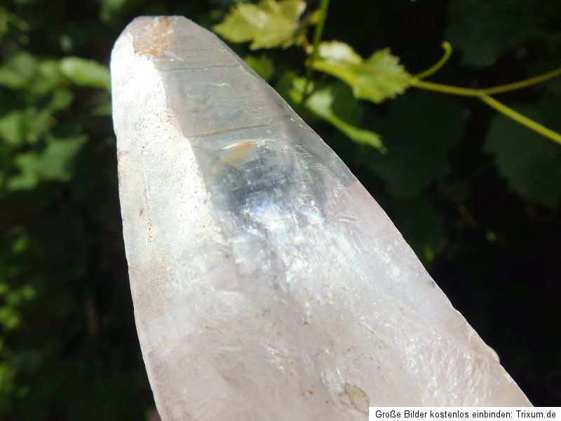 Lemurian Kristall 296 gr, Lamurias, Lemuria Samenkristall