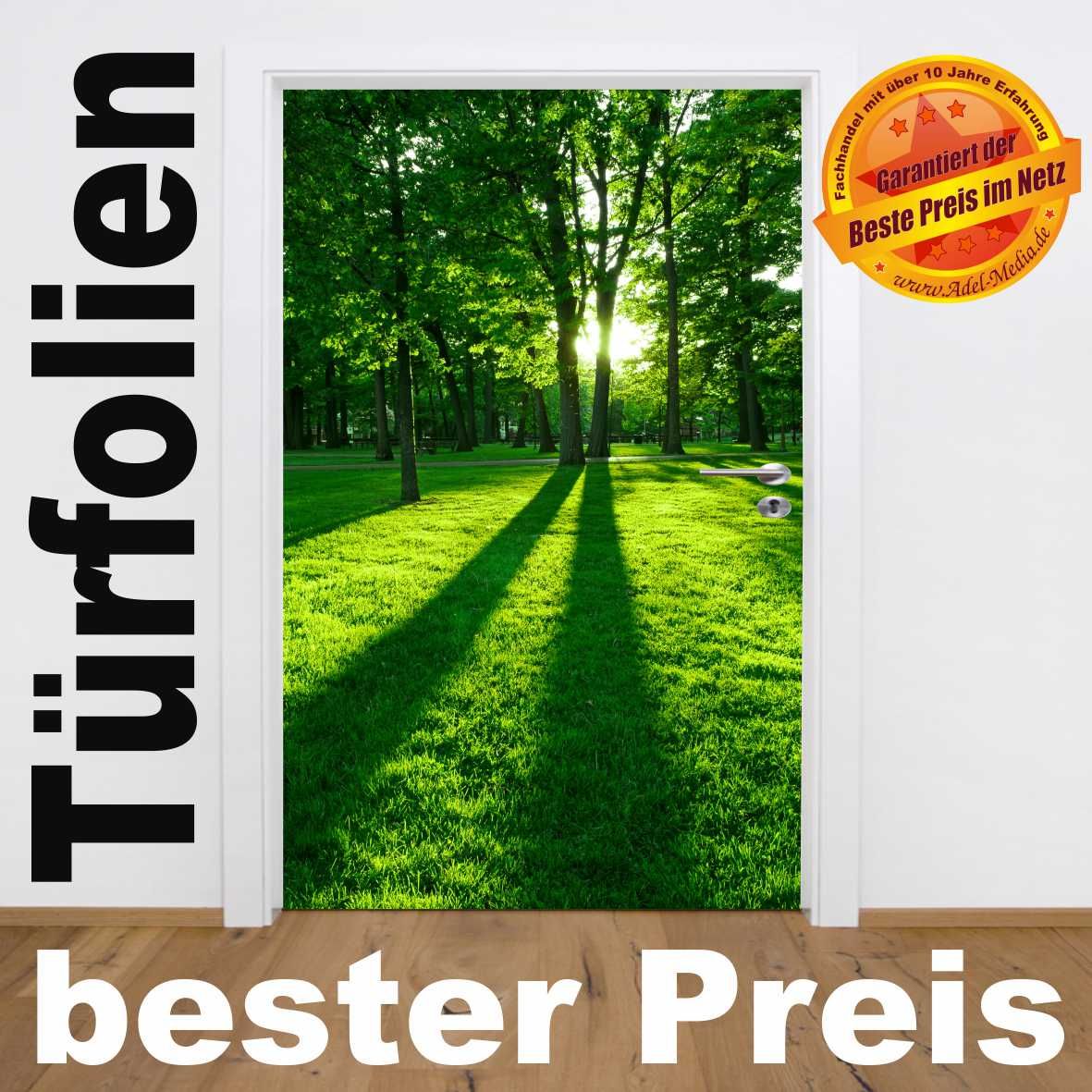 TF343 Lichtung/Wald/Sonne Türposter Türtapete Glasdecor Tür Poster