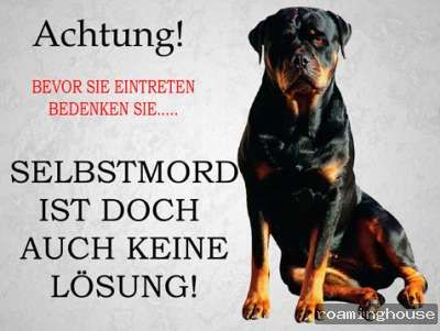 Rottweiler  Metallschild Aluschild Warnschild