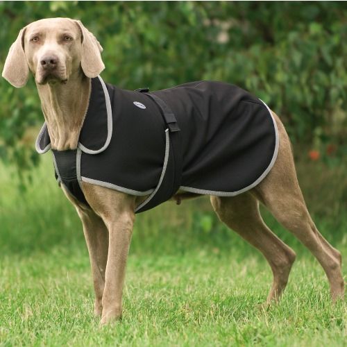 Soft Shell Hundedecke, schwarz, 30 cm