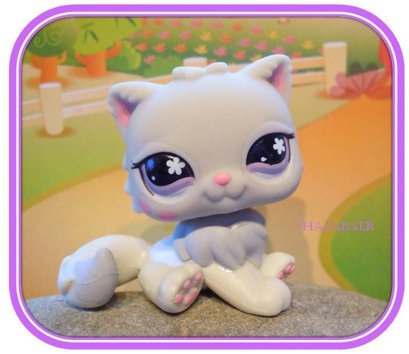 PERSER KATZE / CAT hat lila Augen #609 •♥• NEU ♥ RAR