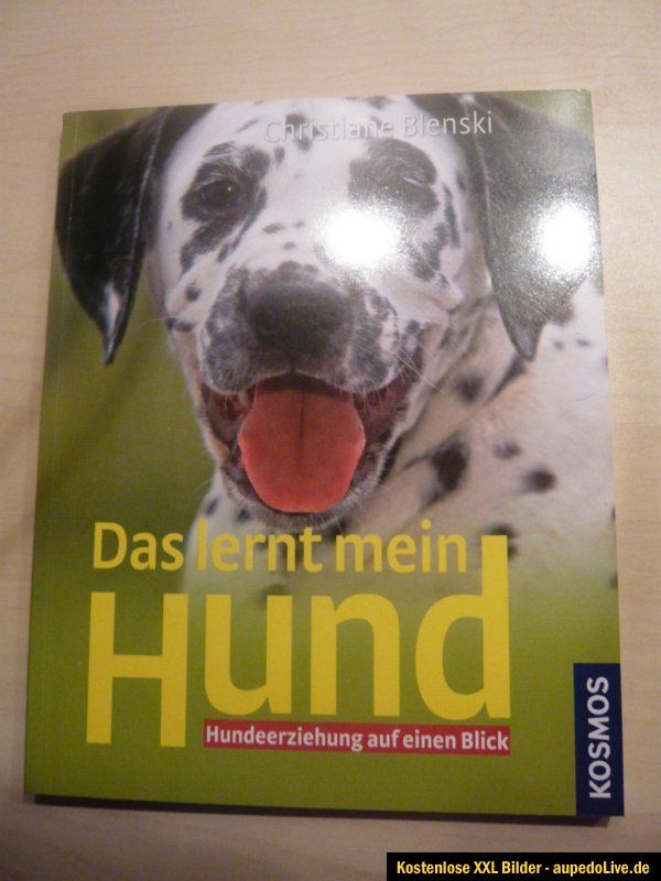 Das lernt mein Hund   Hundeerziehung auf einen Blick   KOSMOS Verlag