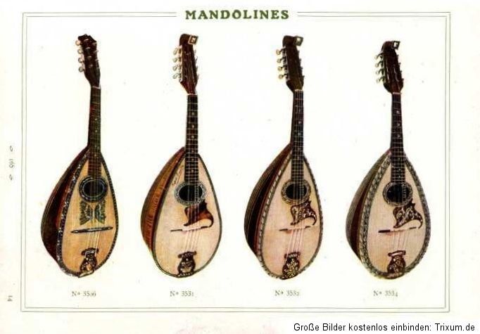 ALTE MANDOLINE / VINTAGE MANDOLIN ZUSAMMENSTELLUNG AUS ALTEN