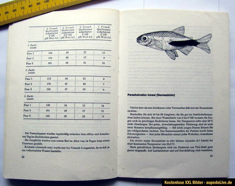 Rarität 2 Zucht Ratgeber von Willy Jocher für Problemfische