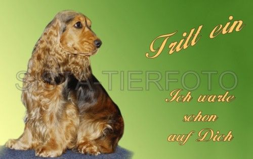 FUßMATTE; FUßABTRETER COCKER SPANIEL 974