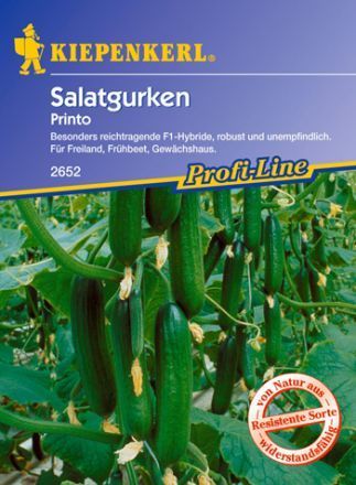 Mini Schlangengurke, Gurke Printo (Cucumis sativus) Saatgut, Samen